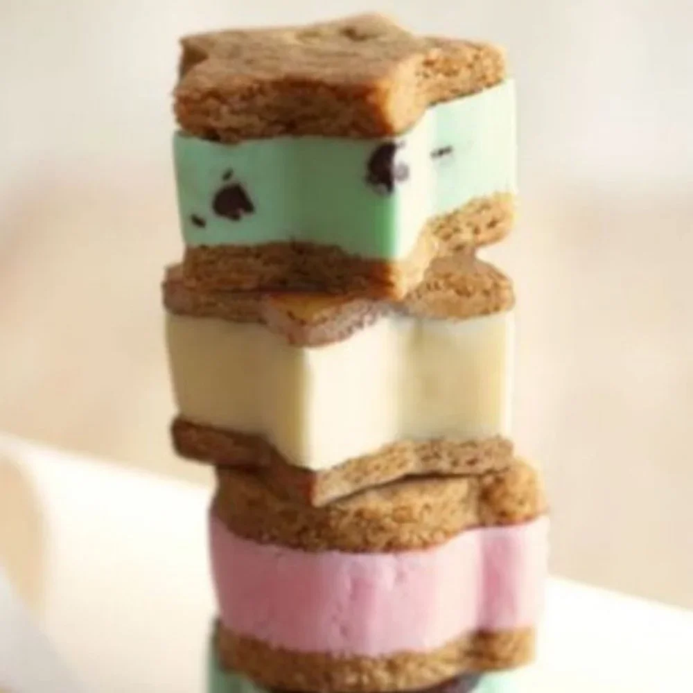 NWOT Williams Sonoma Wild West Ice Cream Sandwich Molds